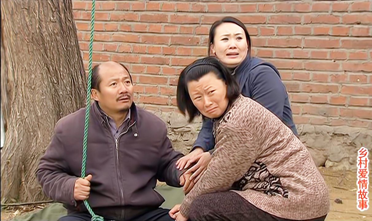 乡村爱情5剧情分集介绍(乡村爱情14免费观看全集)