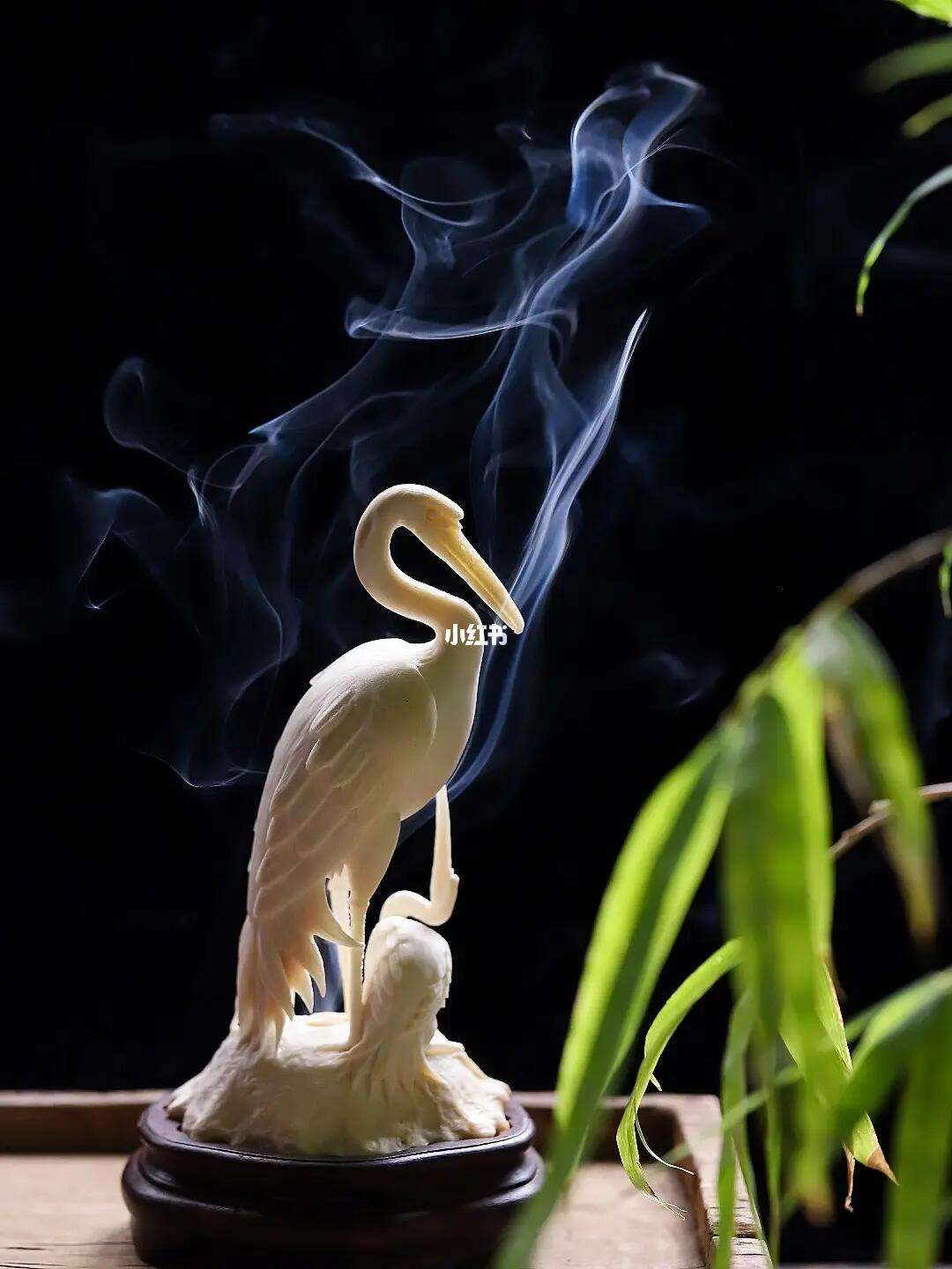 焚香骨_焚香骨舒儿结局