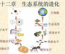 当草根遇见进化系统_当草根遇见进化系统短剧合集