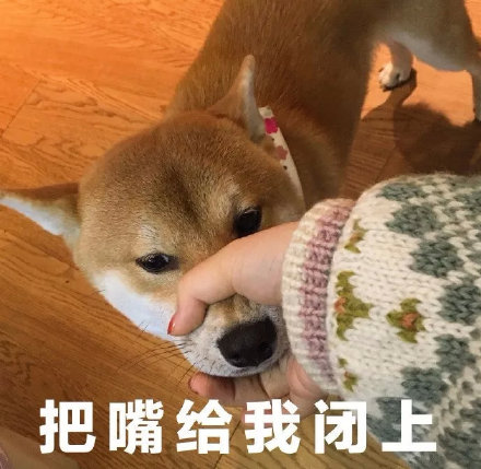 闭嘴吧我才是原配_闭嘴吧我才是原配短剧免费观看
